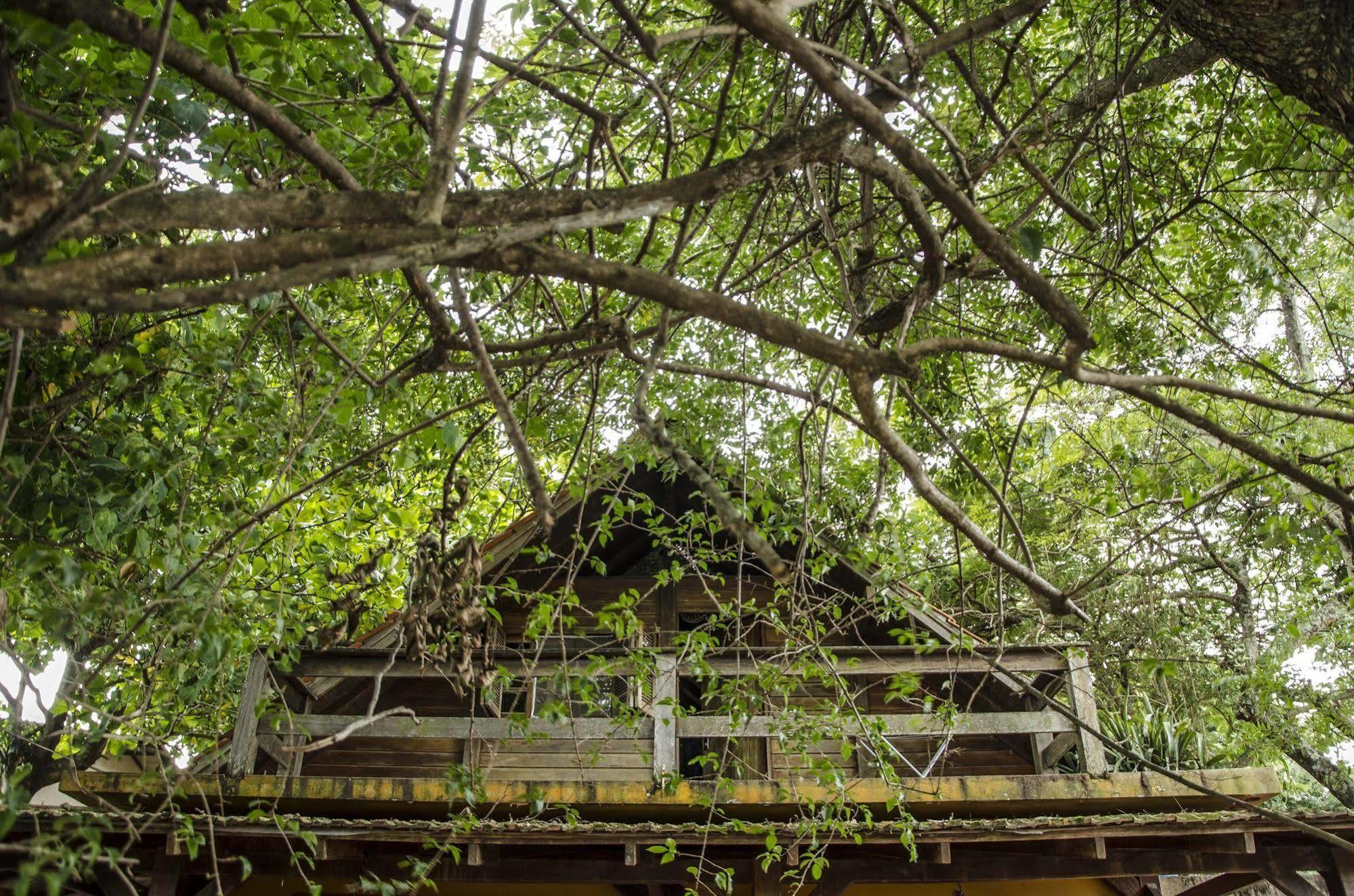 Sagui Hostel Florianópolis Eksteriør bilde